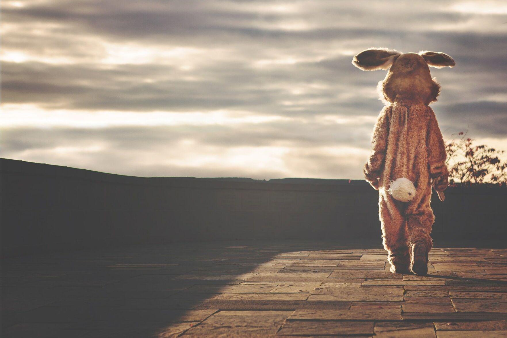 4. Rabbit